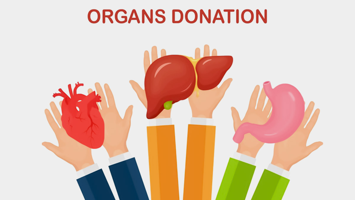 Celebrating World Organ Donation Day 2024.